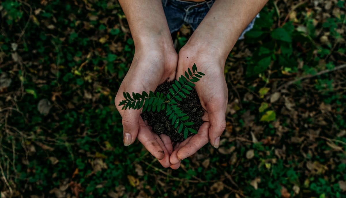 The first international Workshop on Knowledge Graphs for Sustainability